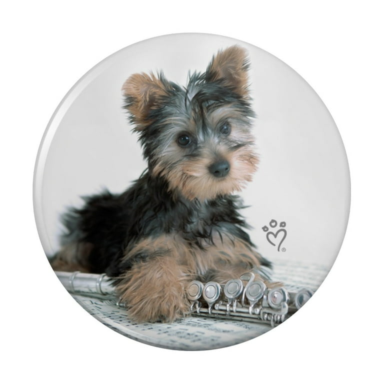 Yorkie Yorkshire Terrier Dogs Suitcase Kitchen Refrigerator Locker Button Magnet Yorkie Yorkshire Terrier Dogs Suitcase Kitchen Refrigerator Locker Button Magnet